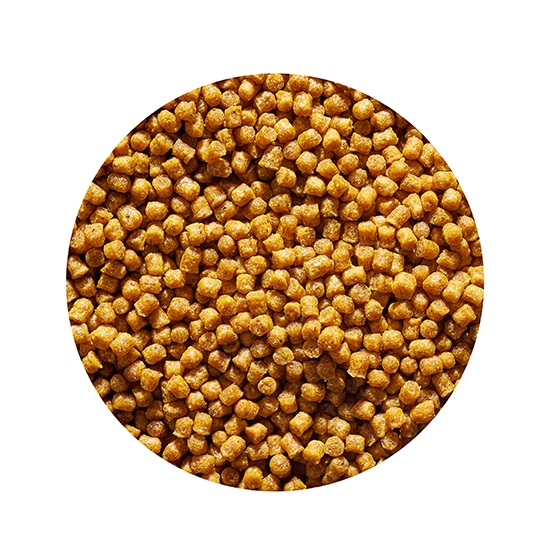 GENLOG Oxygen Micro Pellet CZERWONY ROBAK 2mm 800g